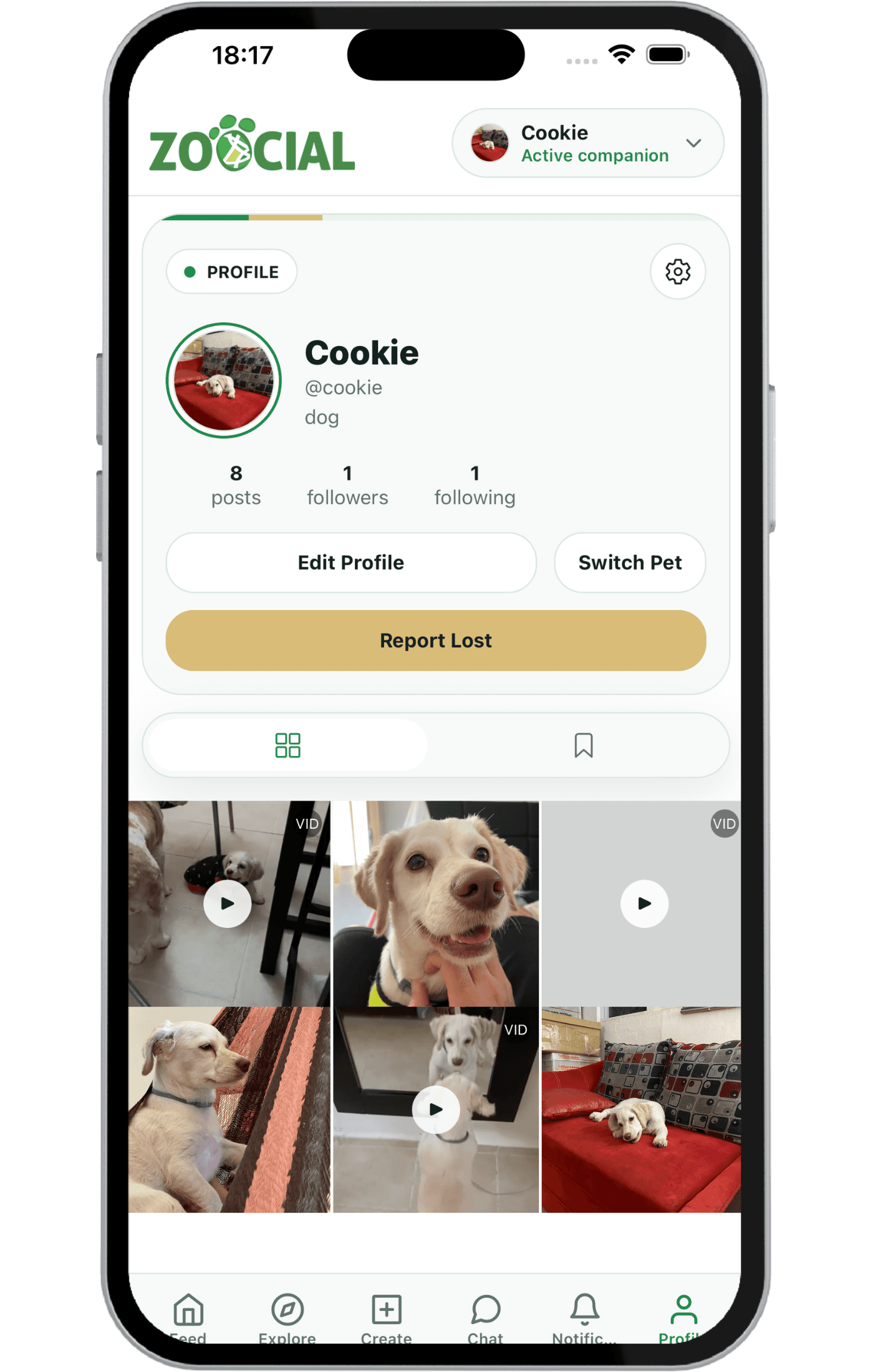 Zoocial co-ownership and pet coordination mockup