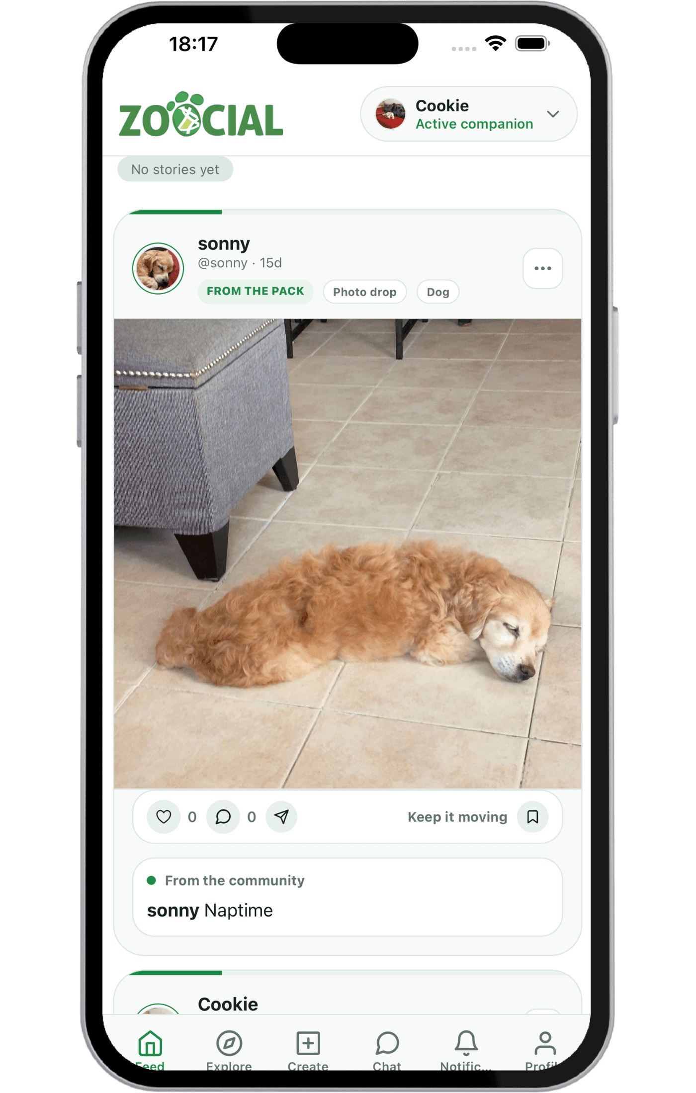 Zoocial stories and community timeline mockup